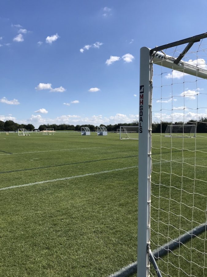 MH Goals at the Nest