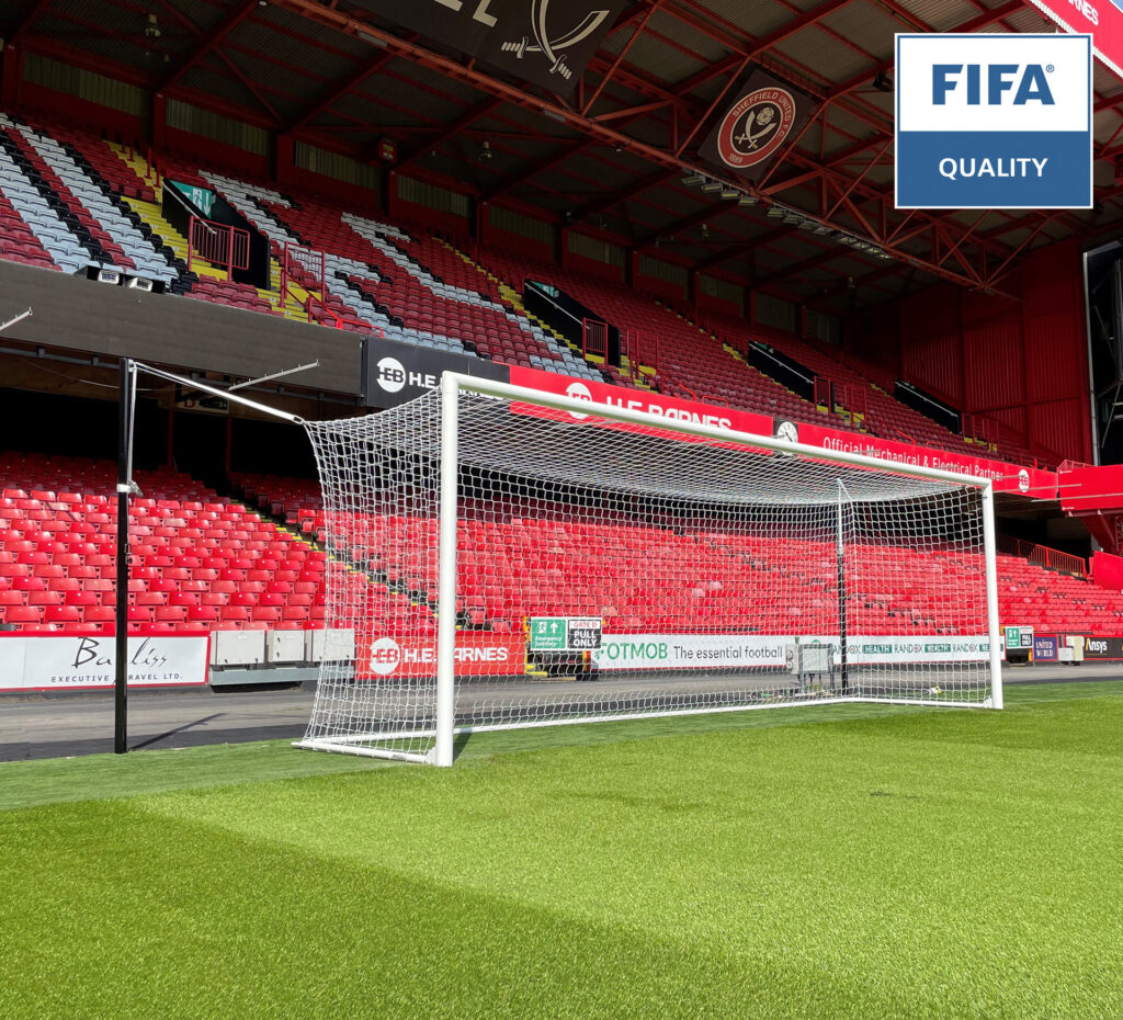 FIFA Stadium Box Goal